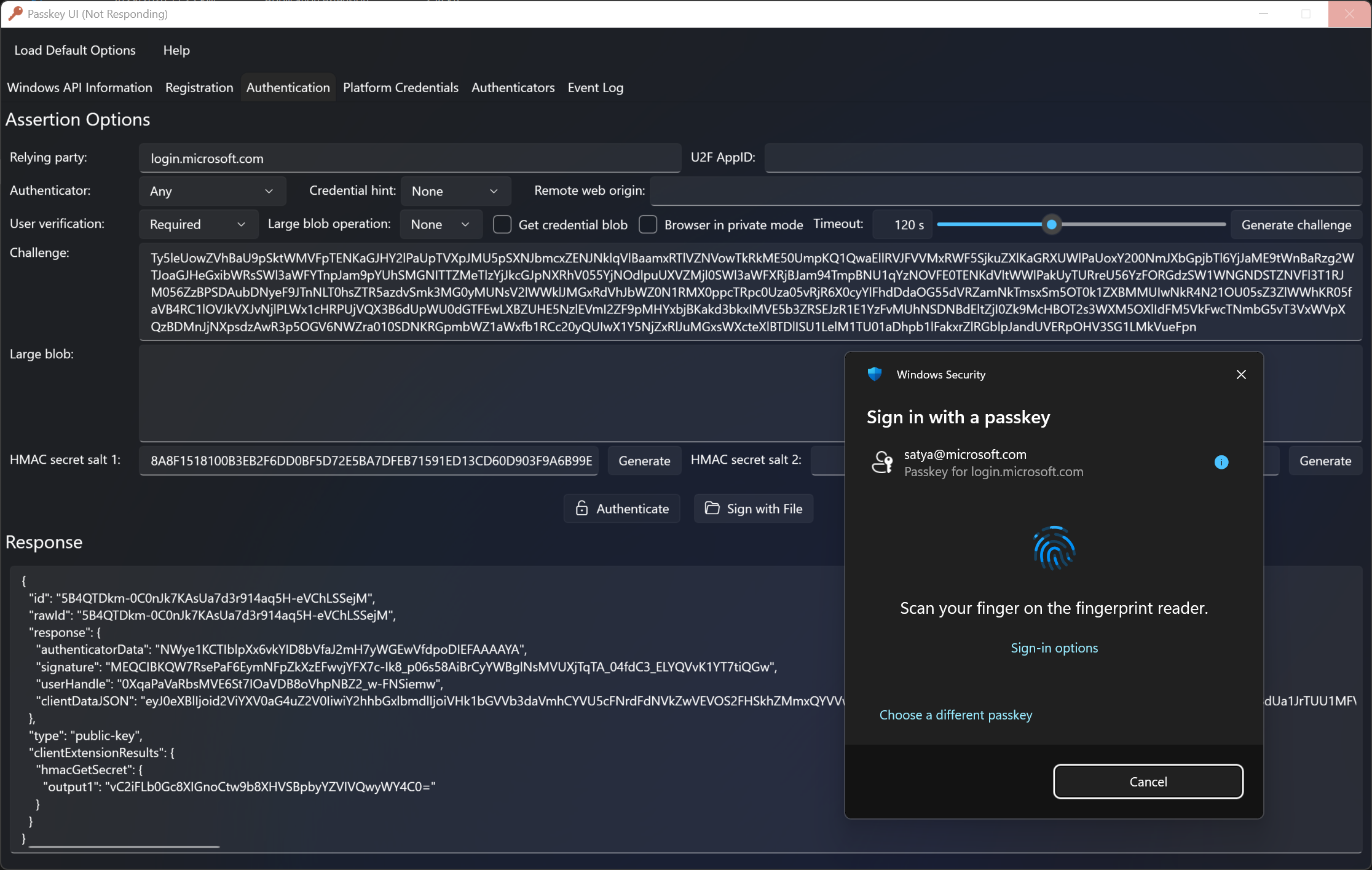 Passkey UI Screenshot